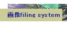 画像 filing system