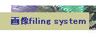 摜 filing system