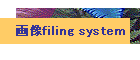 摜filing system