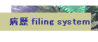 病歴 filing system